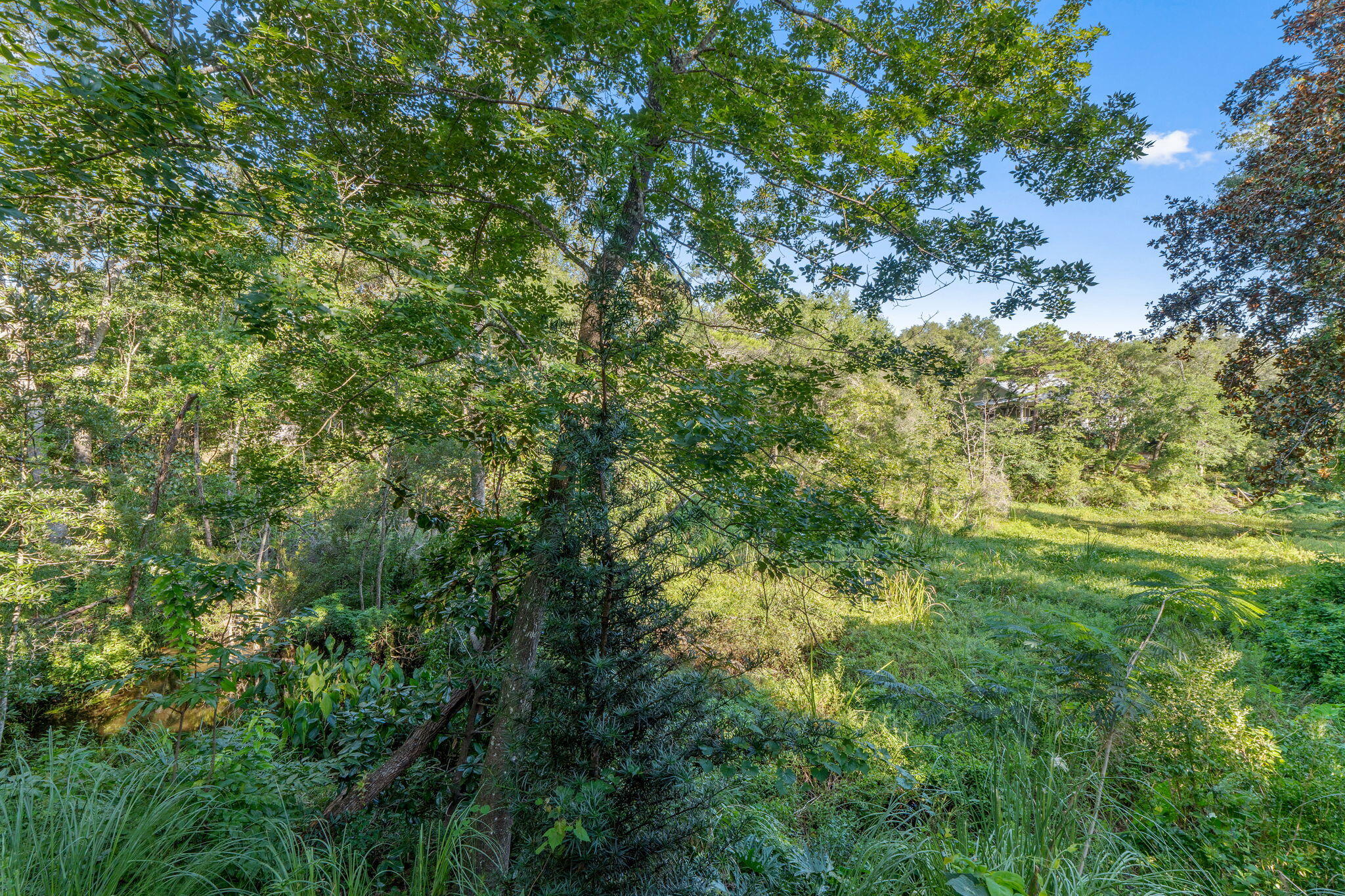 ROCKYWOOD PH 4 - Residential