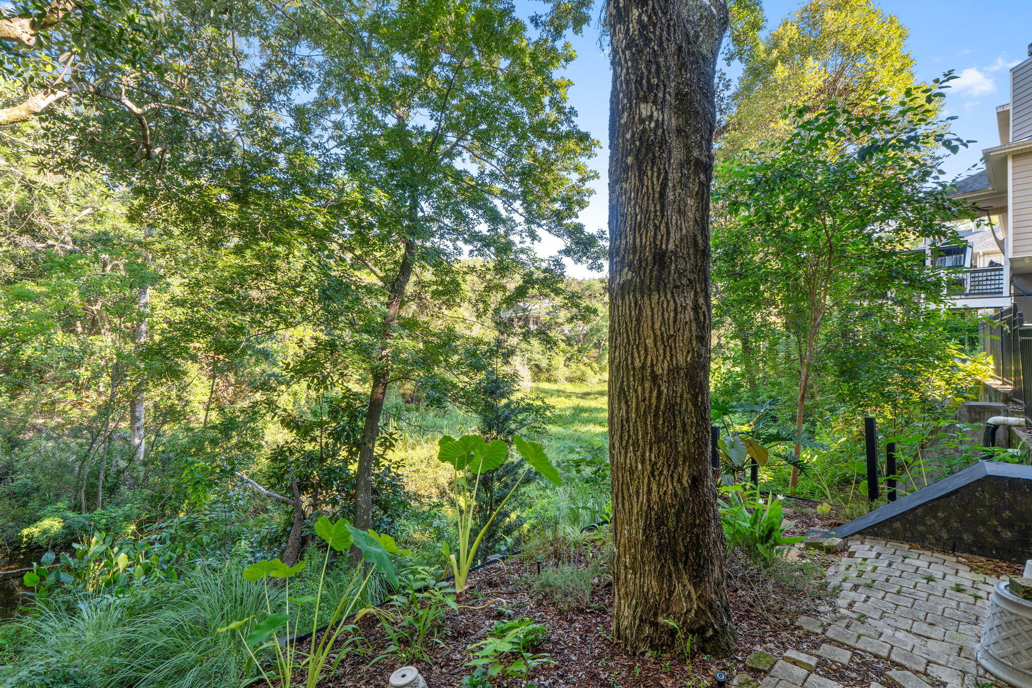 ROCKYWOOD PH 4 - Residential