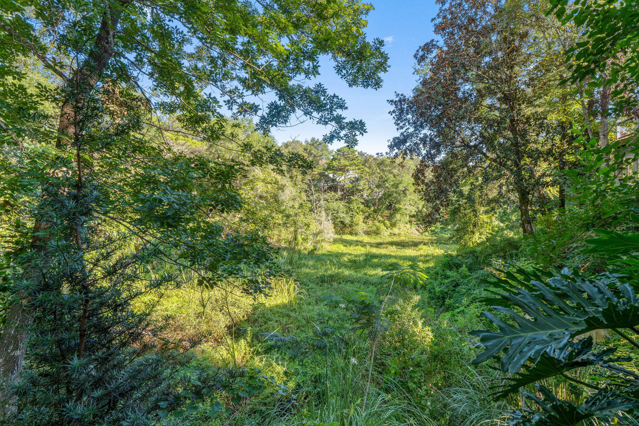 ROCKYWOOD PH 4 - Residential
