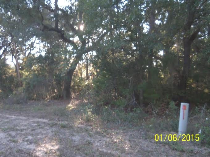 DAUGHETTES 1ST ADD TO CHOCTAWHATCHEE BCH - Land