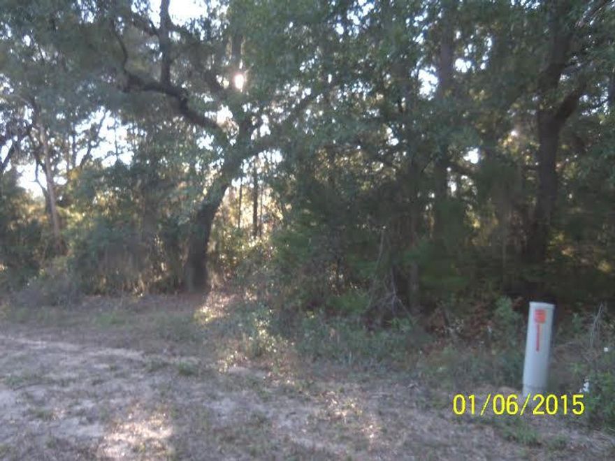 Canal front property leading directly to Choctawhatchee Bay. One of the prime canal front lots. Great place to build your dream home or retirement home. No build out time. Lot 33 is also listed. Buy one or both. DON'T WAIT...YOU'LL BE TOOOO LATE!!!