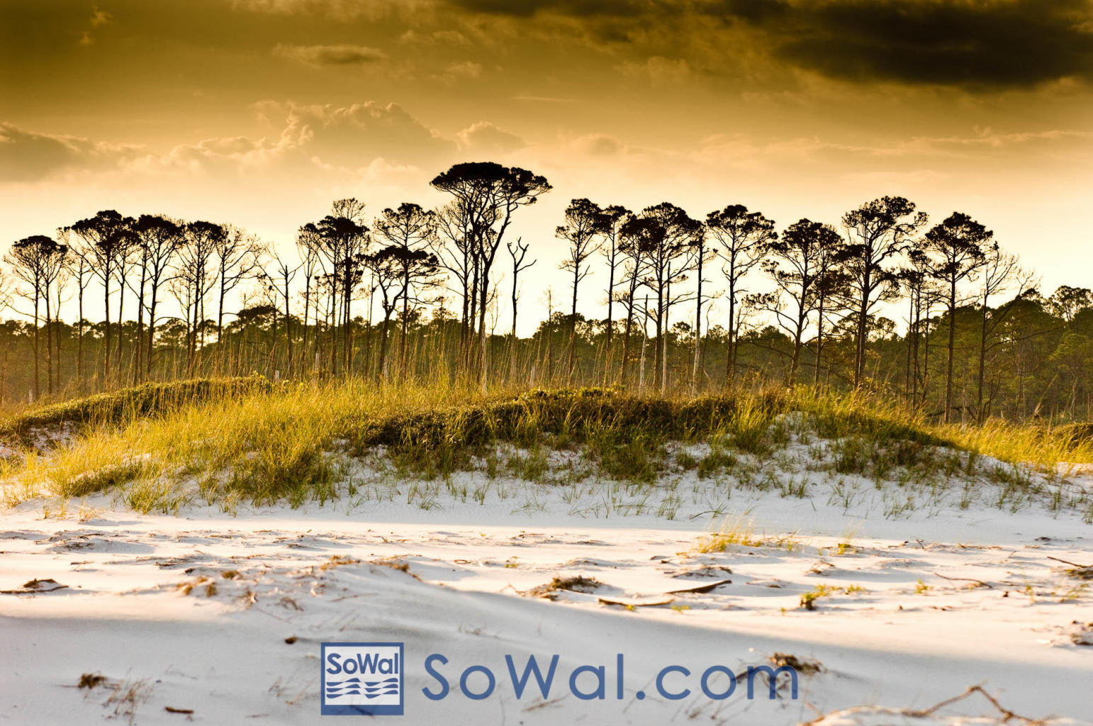 Treasure Trove Estates - Residential