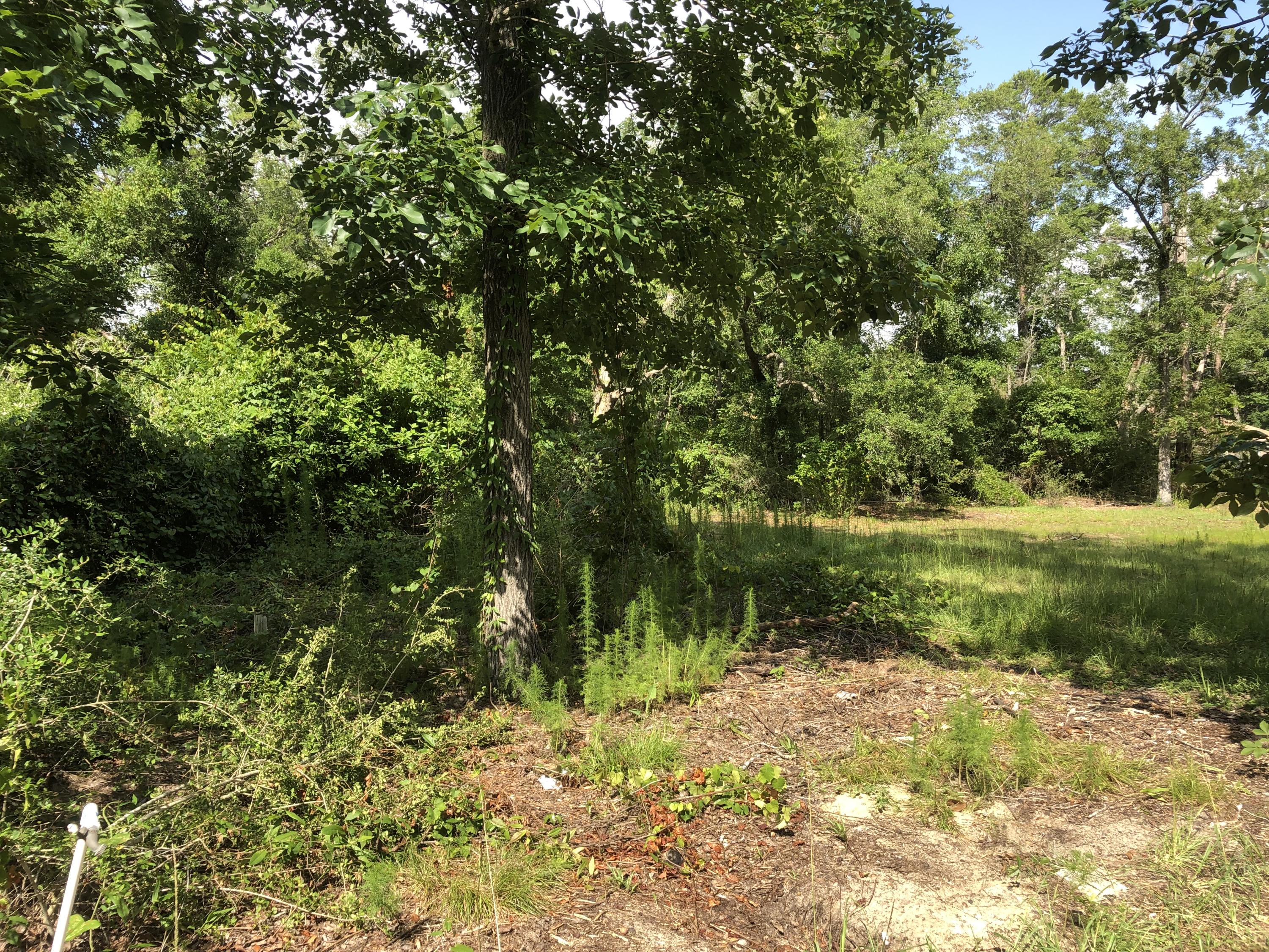 MAGNOLIA BAYE - Land