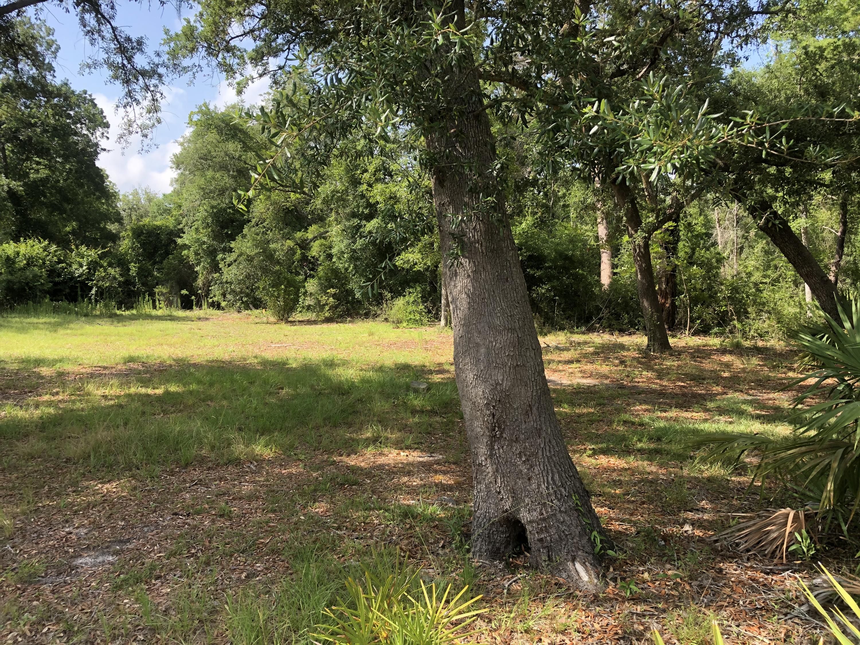 MAGNOLIA BAYE - Land