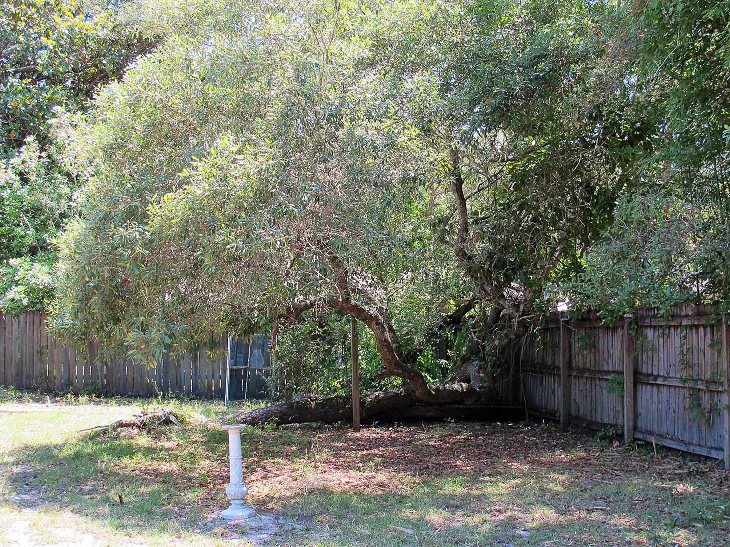 PINEWOOD ESTATES - Residential