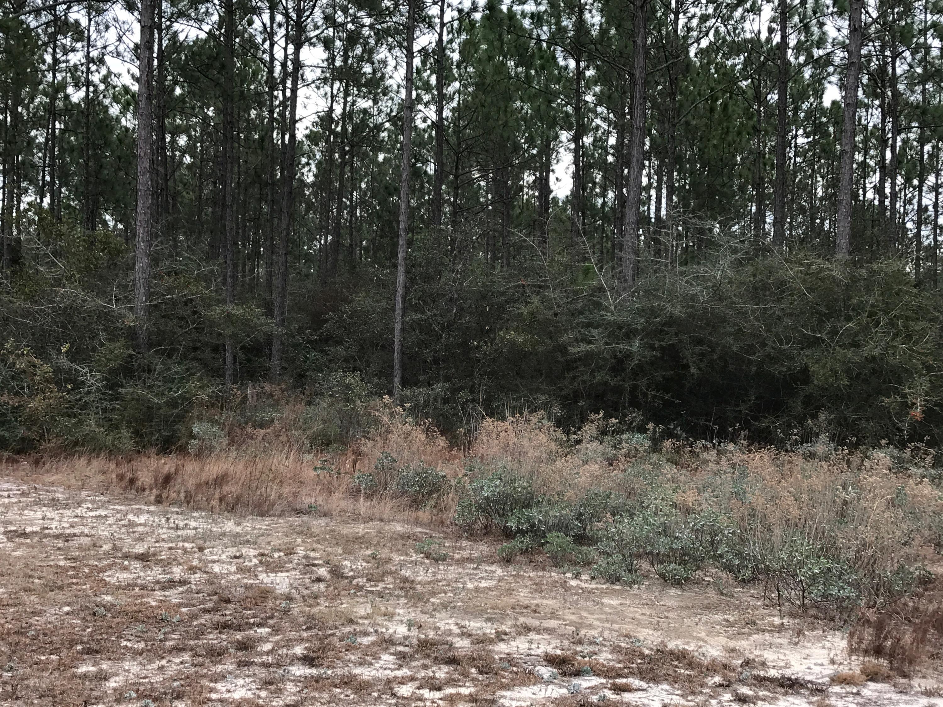 WINDSWEPT ESTATES - Land