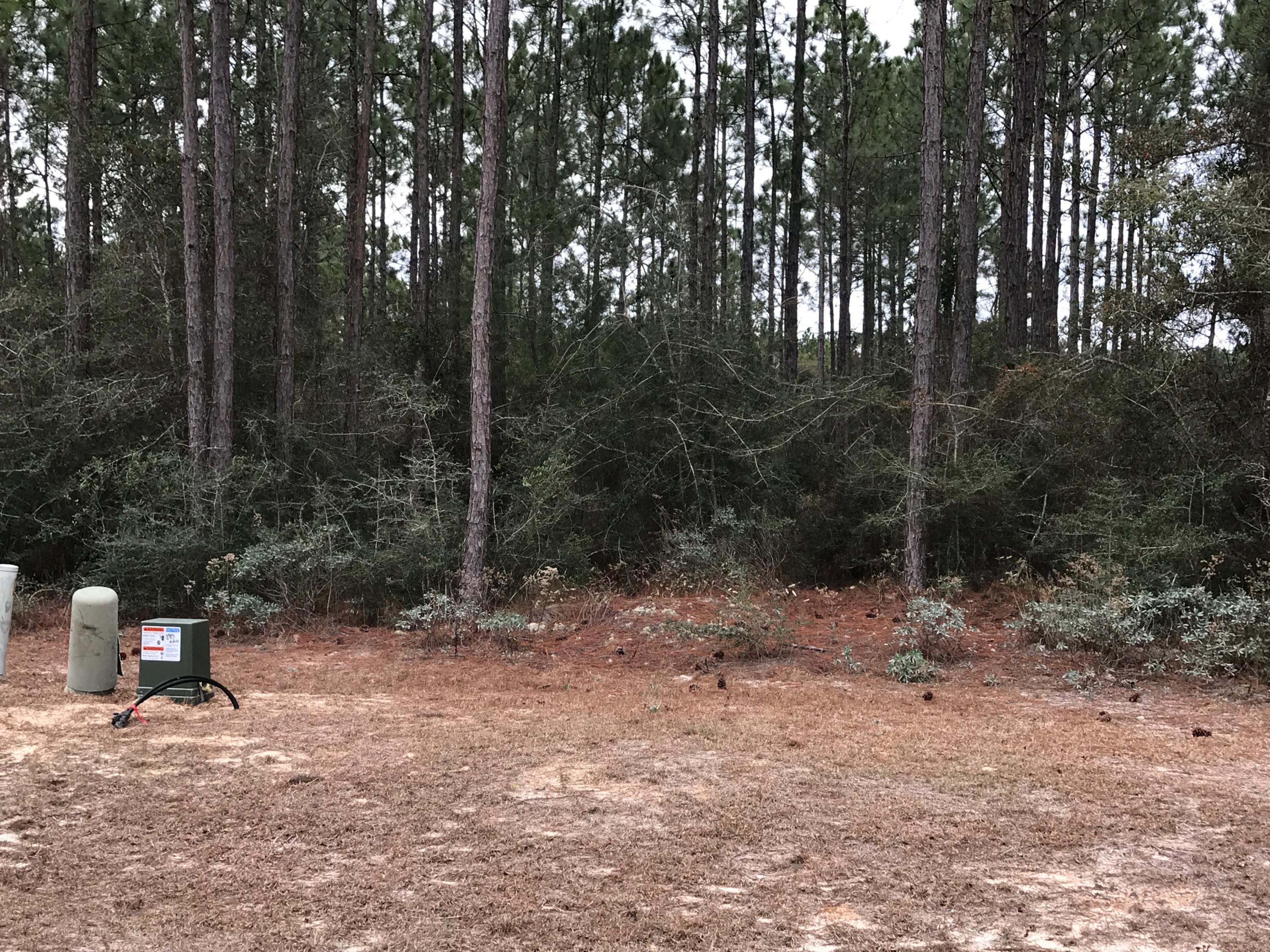 WINDSWEPT ESTATES - Land