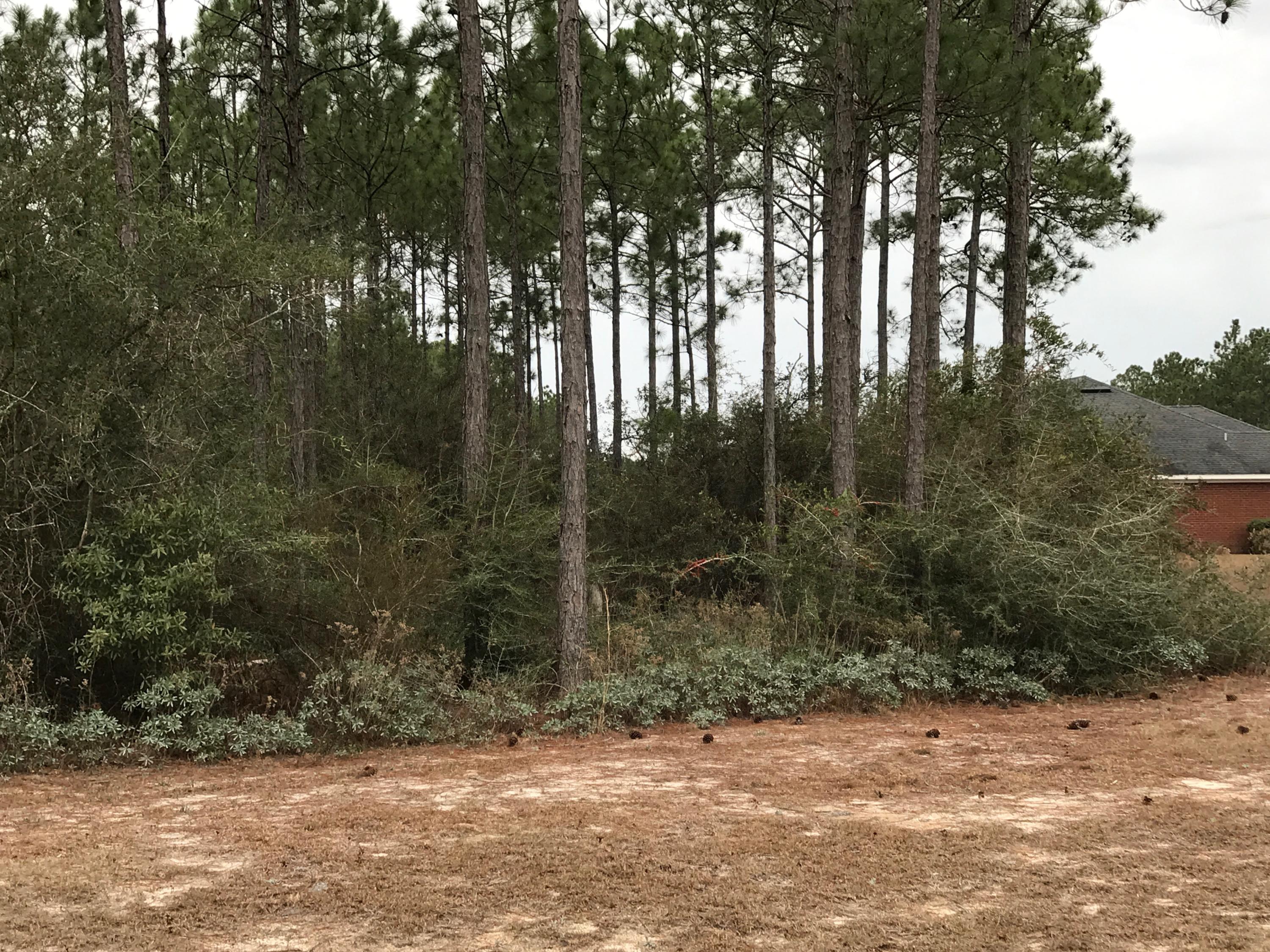 WINDSWEPT ESTATES - Land