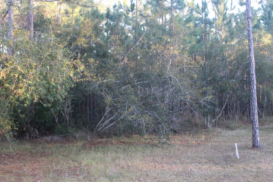 Well priced in a great location! Close to local artisans, shopping and dining on 30A. Low density subdivision with no HOA. Paved road and community water. Tap fee to be paid by buyer. Buyer to verify all data, details and information important to them.