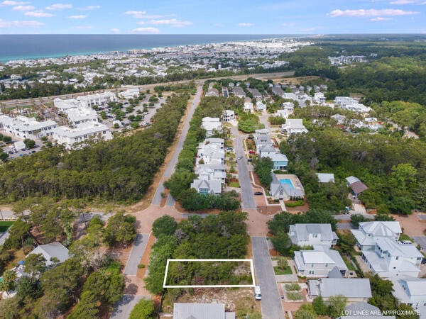Preserve at Inlet Beach - Land