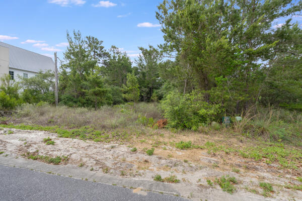 Preserve at Inlet Beach - Land