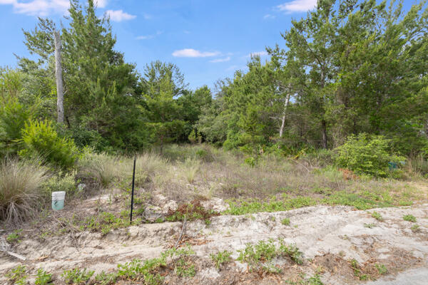 Preserve at Inlet Beach - Land