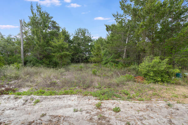 Preserve at Inlet Beach - Land