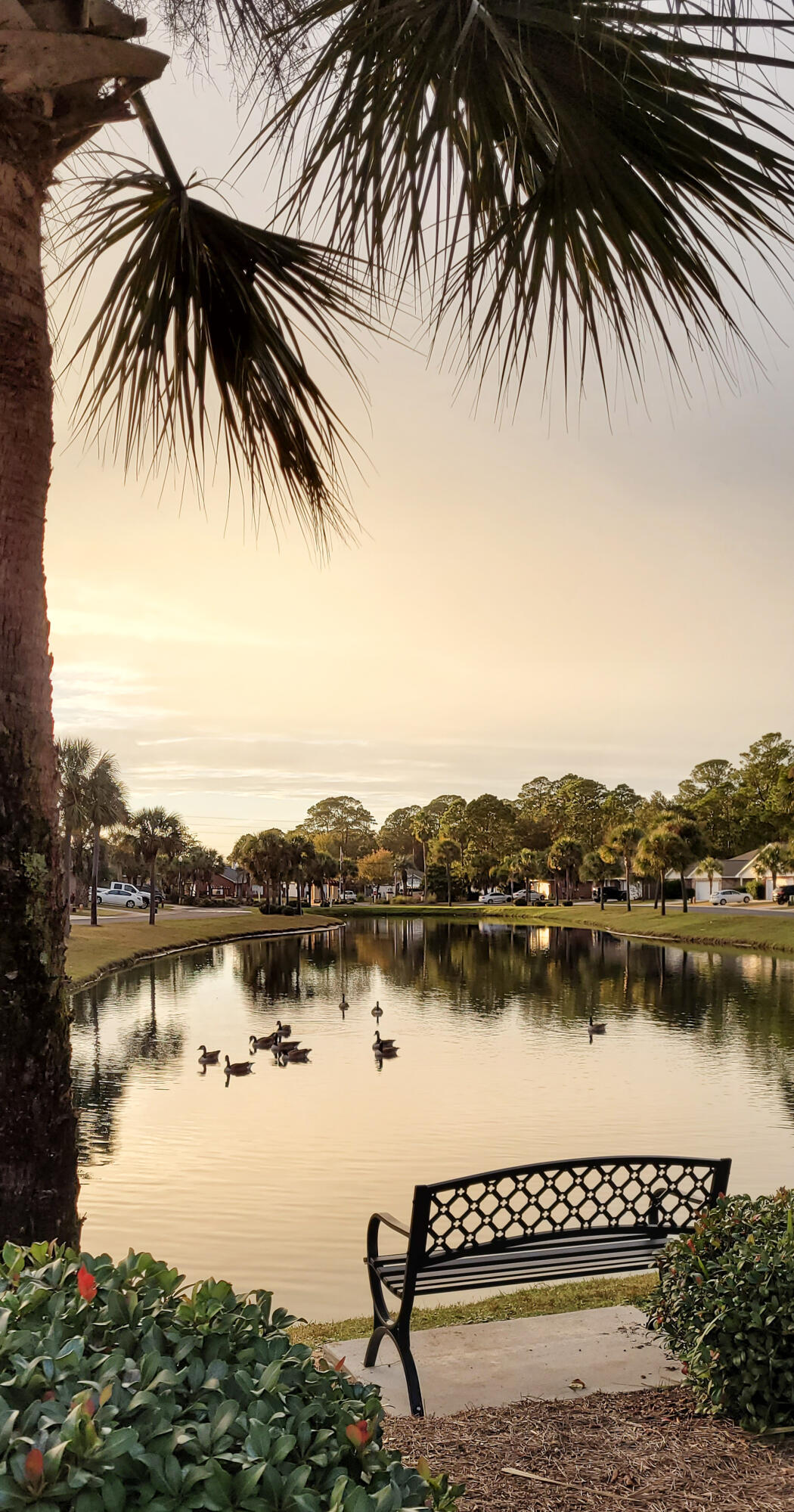 MARSH HARBOR - Residential