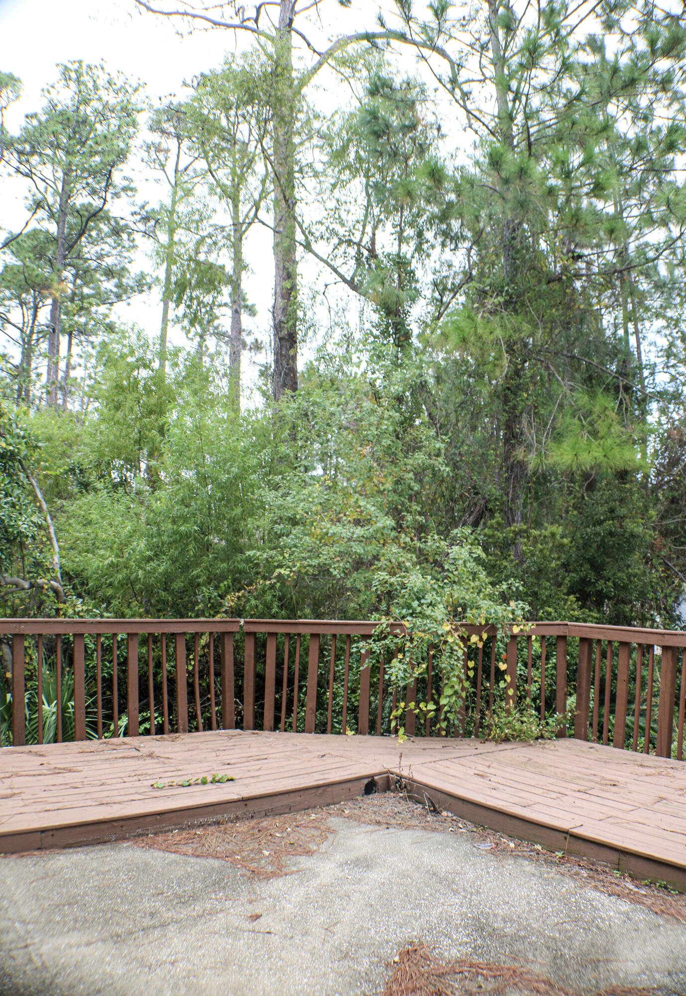 MARSH HARBOR - Residential