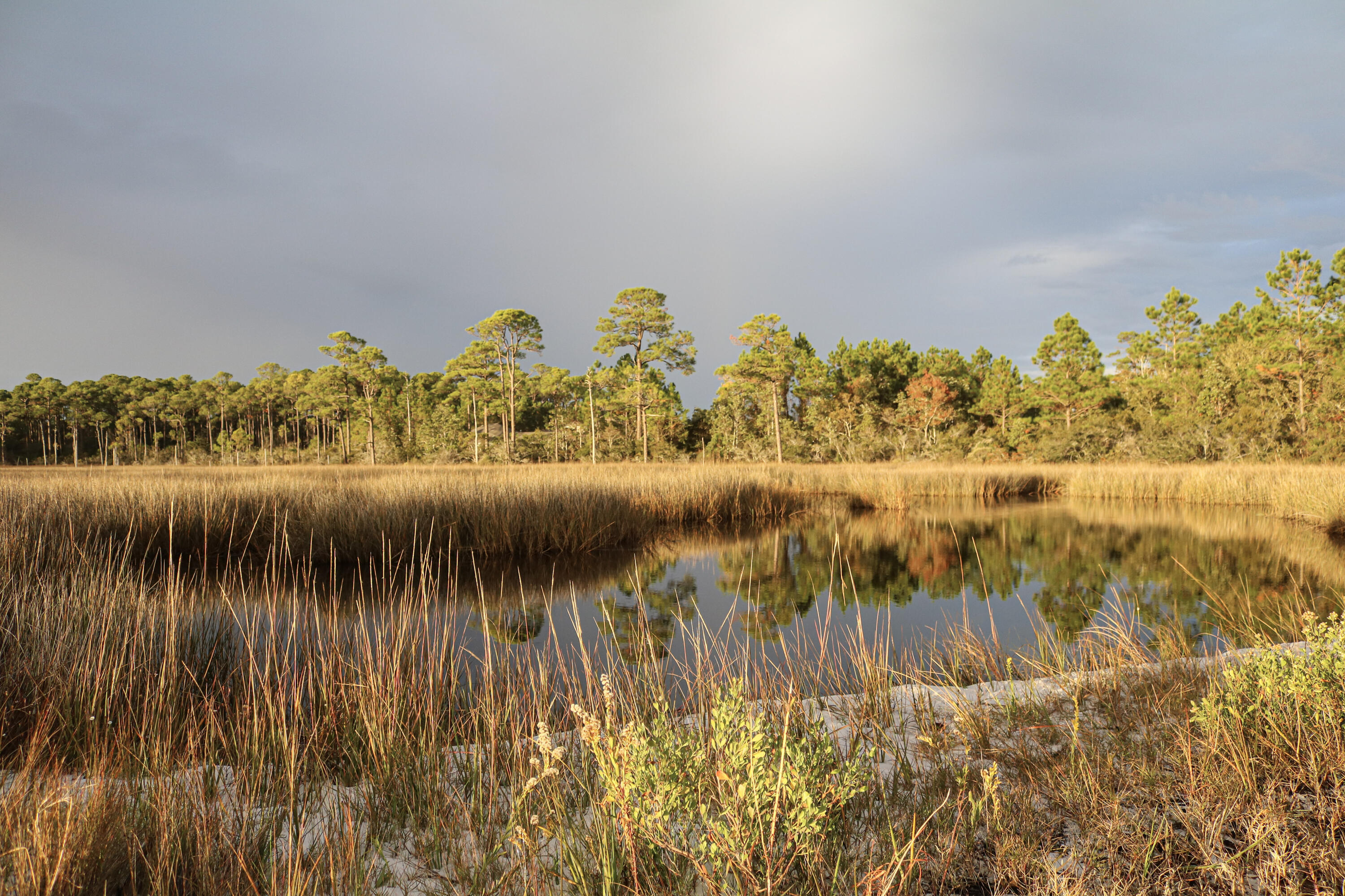 MARSH HARBOR - Residential