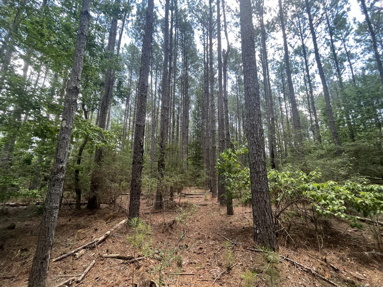 METES & BOUNDS - Land