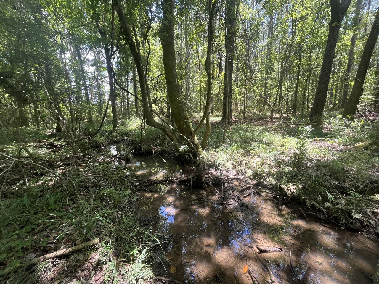 METES & BOUNDS - Land