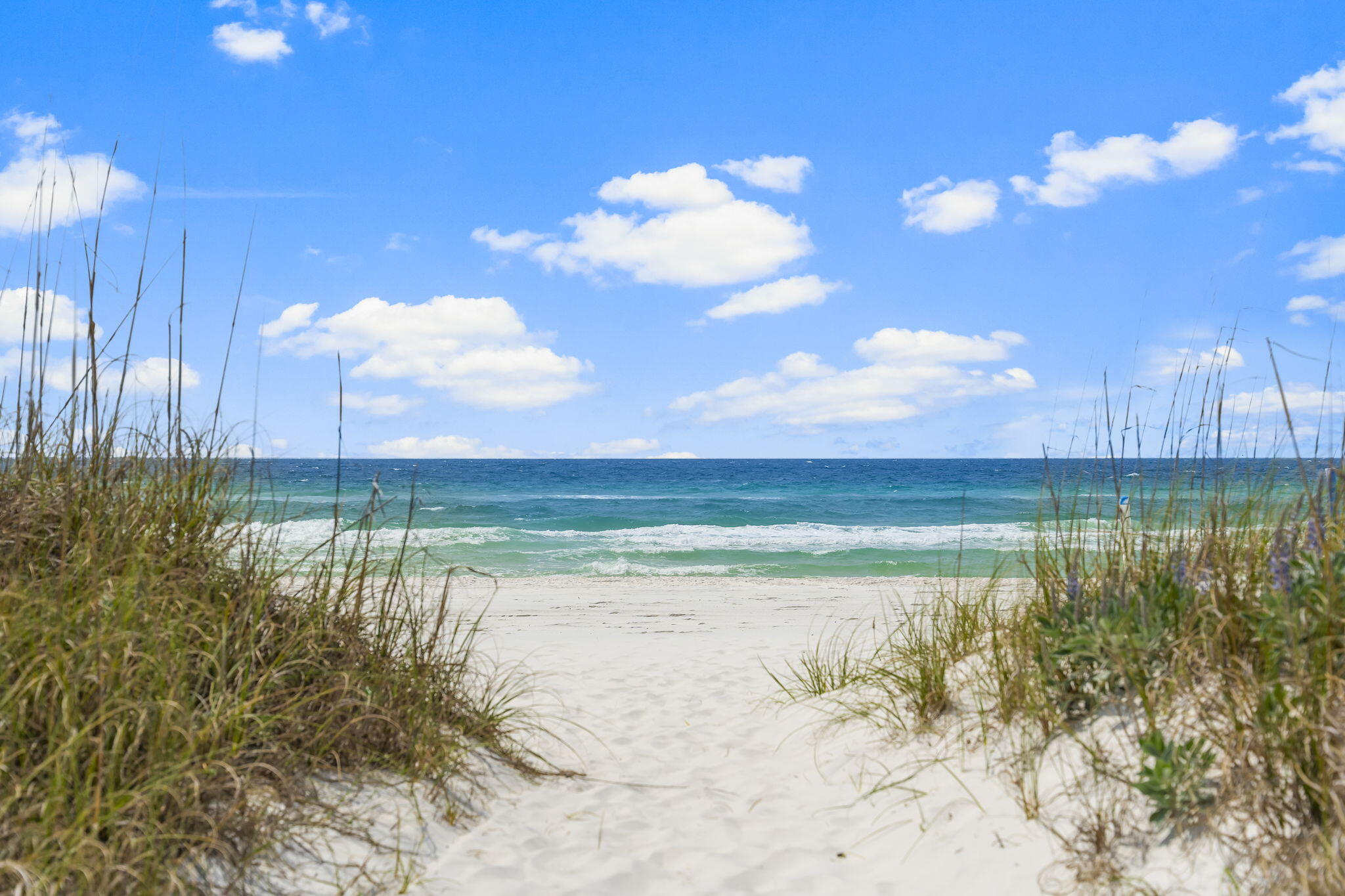 PRESERVE PLACE AT GRAYTON BEACH - Residential Lease