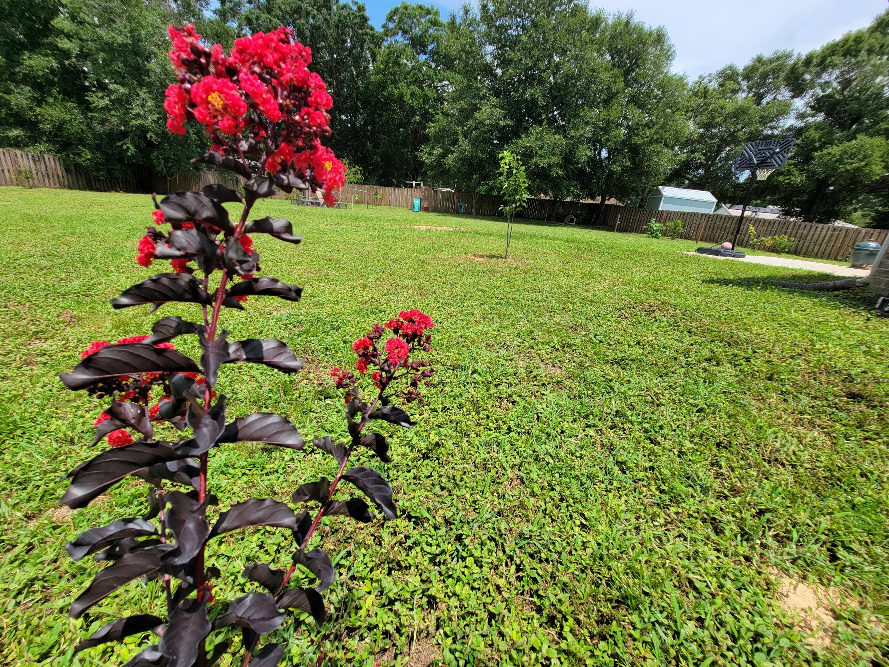 LEE FARMS PH III - Residential