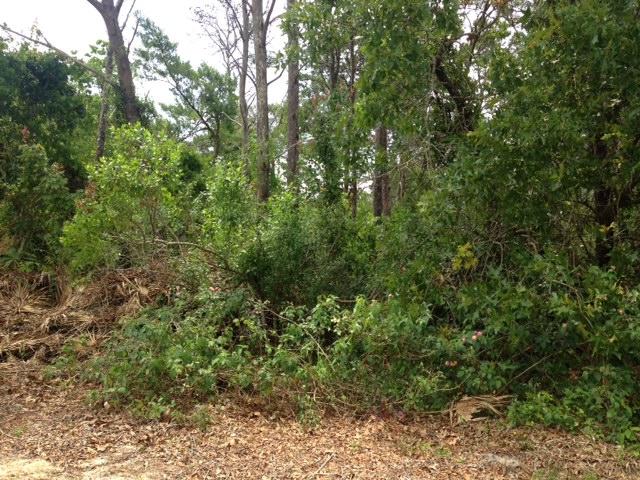 Reduced Price Again!, seller Motivated!!No HOA, stroll to the beach, state park, and on the west end of 30A. Close to shopping, hospital, restaurants and cinema. Public beach access is south of Goatfeathers Restaurant which offers public restrooms and shower. High and dry lot, new two story home across street. Great location for your home or ''get away'' beach home. This lot is priced below market, hurry!