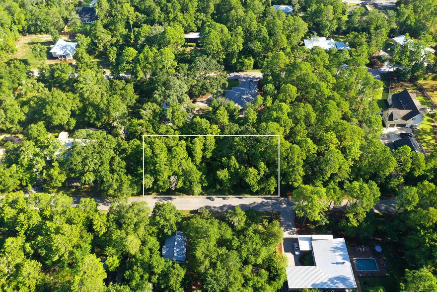 Prime Half-Acre Lot in Eden Estates - No HOA & No Build-Out Time Discover the perfect homesite in the heart of historic Point Washington! This beautifully wooded half-acre lot sits high and dry in Flood Zone X, offering a flat and buildable space with ample room for a custom home and pool. Located on Fig Ct in Eden Estates, this rare oversized lot provides peace, privacy, and no HOA restrictions or build-out time limits. Enjoy easy access to the water at Point Washington Landing & Boat Ramp, just around the corner, where you can launch your boat, kayak, or paddleboard into Tucker Bayou and the Choctawhatchee Bay. Nature lovers will appreciate being just minutes from Eden Gardens State Park, home to the historic Wesley House, scenic walking trails, and community events like candlelight tours, movies in the park, and stargazing nights. Located just north of Seagrove Beach and a short drive to 30A's world-class beaches, dining, and shopping, this lot offers the best of both worldstranquil, natural surroundings with quick access to the vibrant coastal lifestyle. Seize this opportunity to build your dream home in one of Point Washington's most desirable neighborhoods!