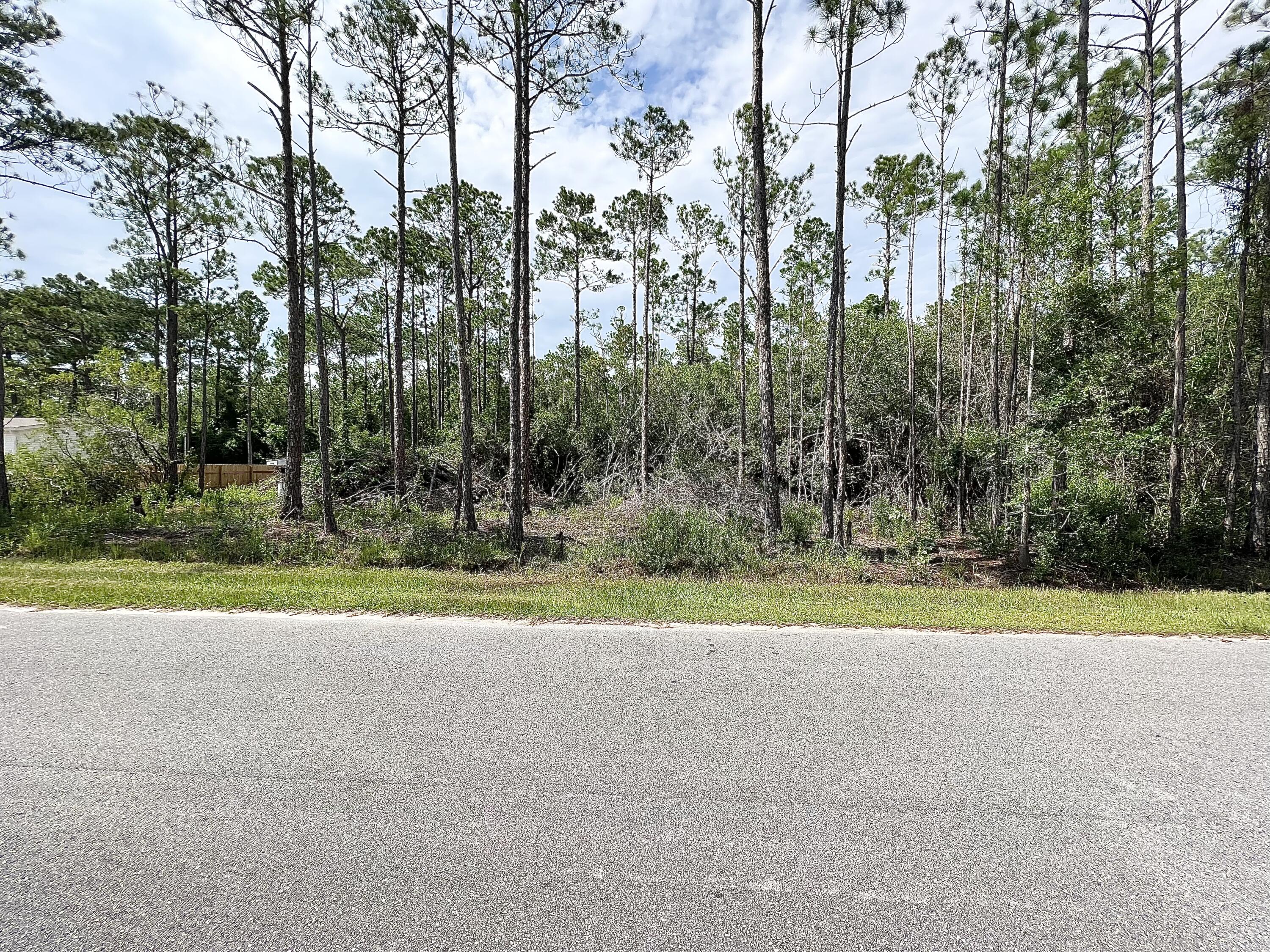 Bring your floor plans and build your dream home on this .44 acre lot located in the booming area of Santa Rosa Beach only minutes from the Choctawhatchee Bay. No HOA's.