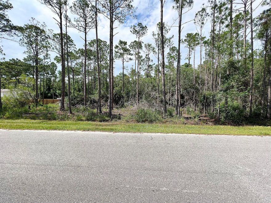 Bring your floor plans and build your dream home on this .44 acre lot located in the booming area of Santa Rosa Beach only minutes from the Choctawhatchee Bay. No HOA's.