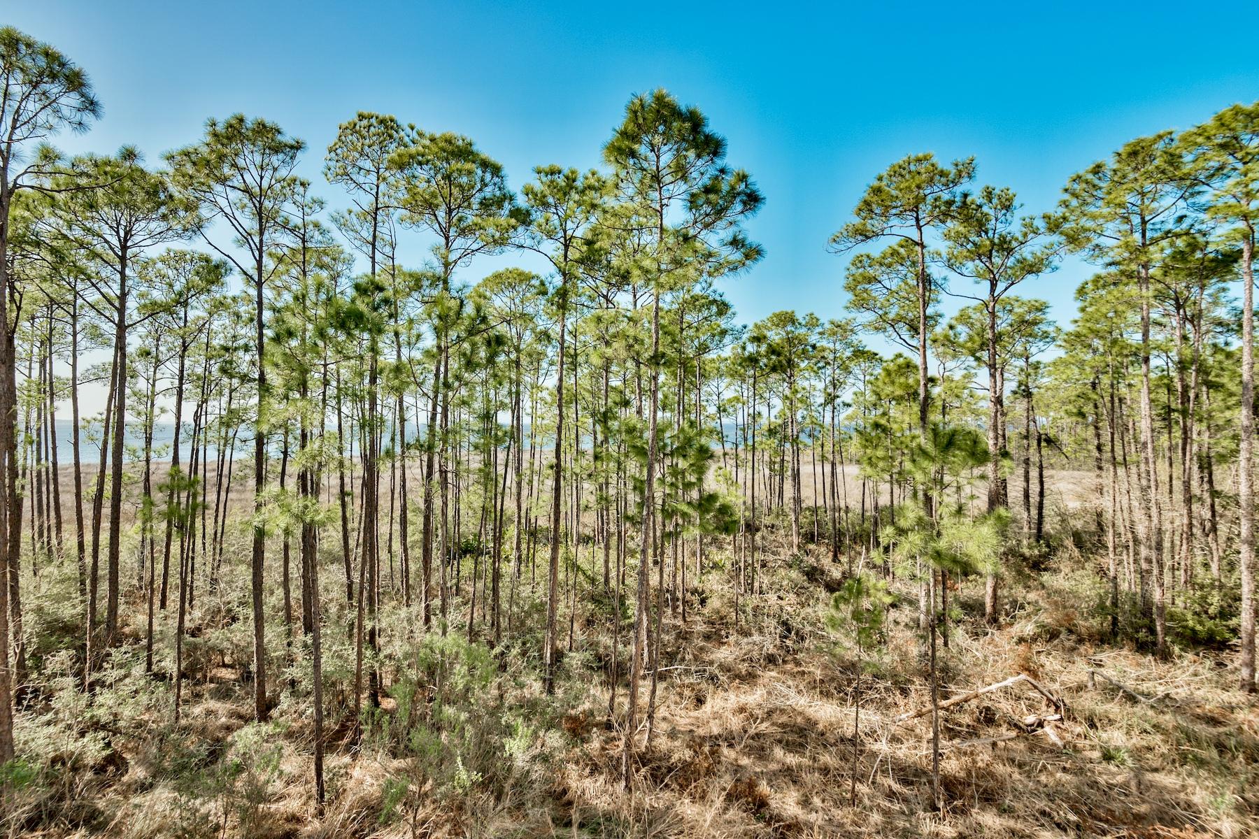 BAHIA CONDO - Residential