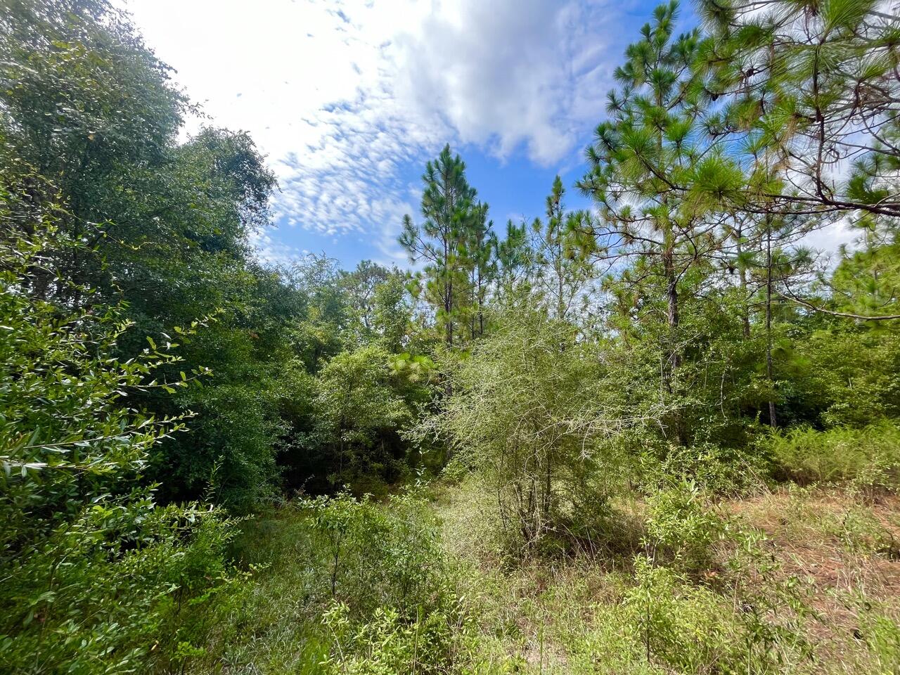 NORTH LAKE ESTATES - Land