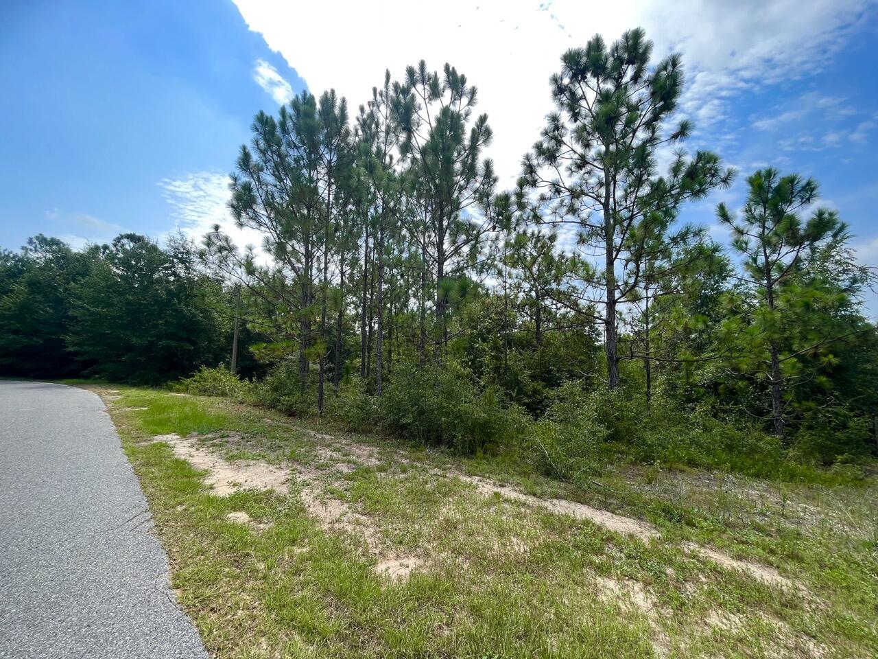 NORTH LAKE ESTATES - Land