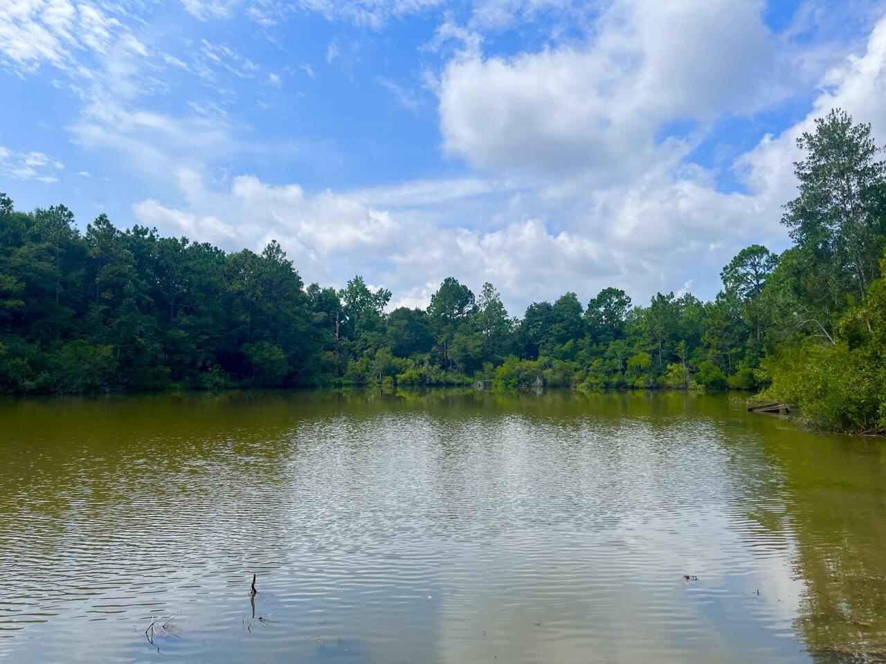 NORTH LAKE ESTATES - Land