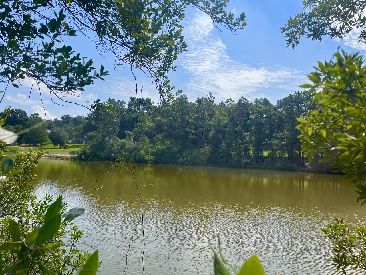 NORTH LAKE ESTATES - Land