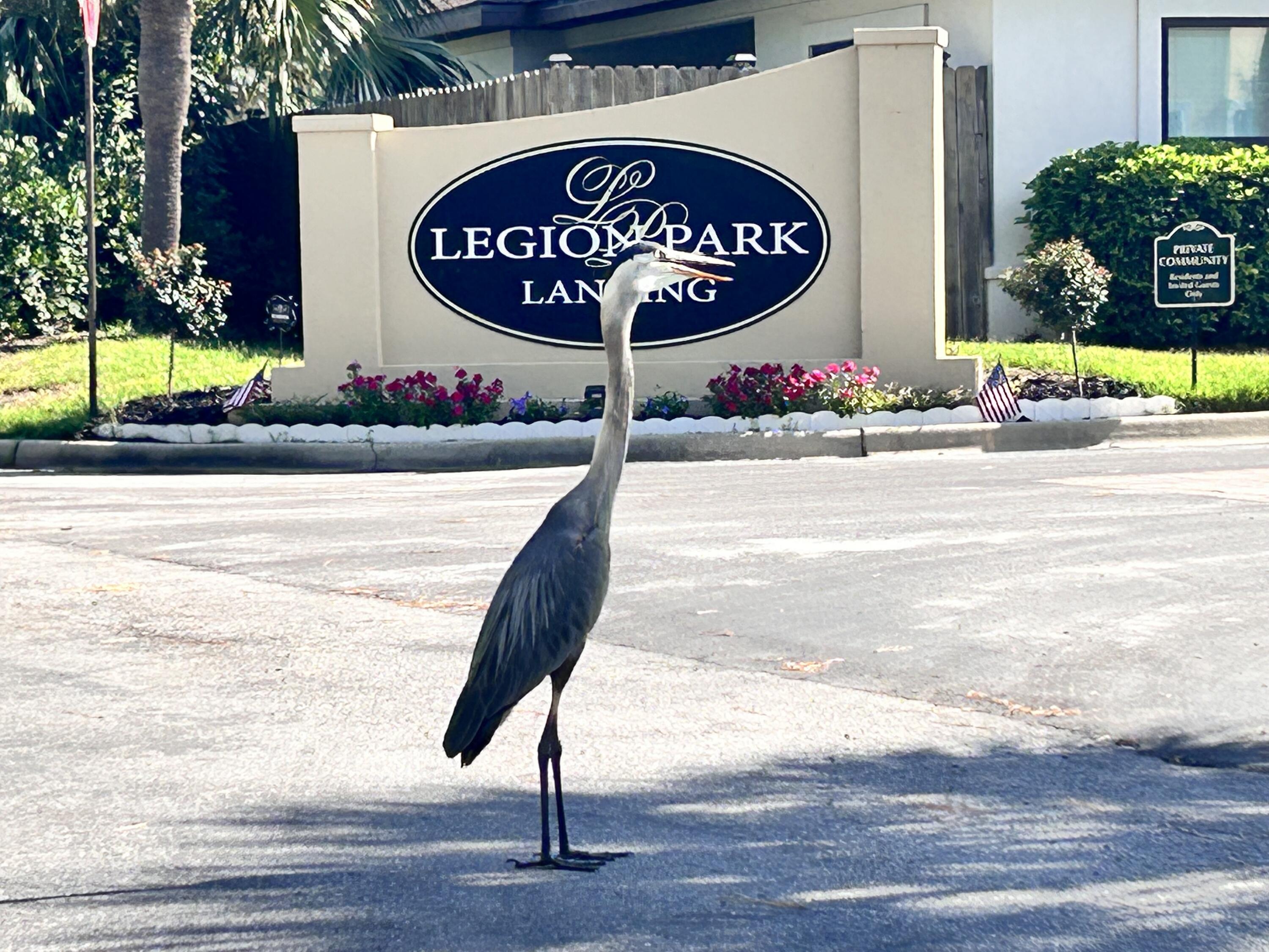 Welcome to your dream coastal retreat at Legion Park Landing in Miramar Beach Florida. This charming home offers the perfect blend of comfort and coastal living, just moments away from the pristine white sand beaches of South Walton. Inside this unique home you will find three bedrooms with three full bathrooms to accommodate each bedroom. This custom home was built by the developer of the subdivision and includes some fantastic upgrades as well as possibilities for additional space. For example, there is space to create two additional rooms with separate entrances. Buyer to verify all pertinent information.Here are some of the unique features this one of a kind home offers... - Extra tall garage door to accommodate off street parking for toys and boats.
- Double depth garage for toys or can be built out as an additional room.
- Hurricane screens included and can be installed from inside or outside.
- Lawn pump with fertilizer tank built in.
- Artificial turf for low yard maintenance.
- Attic area with fan, lights and storage area.
- Front porch fountain for a relaxing environment.
- Bonus room with private entrance.
- Easy Climber Elevator.
- Gas burner stove.
- Flag pole.