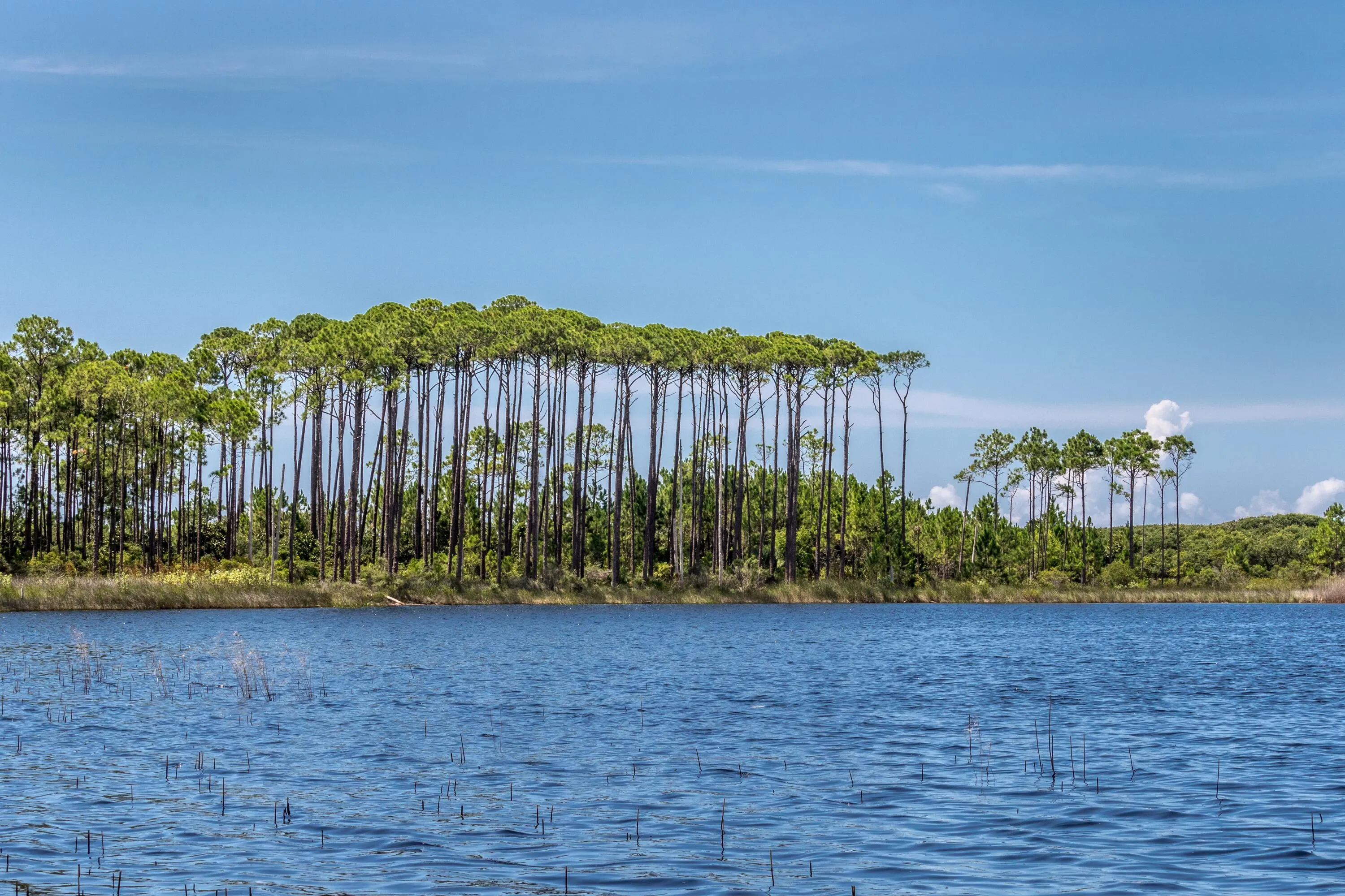 Santa Rosa Beach, Florida, 32459, United States, 2 Bedrooms Bedrooms, ,3 BathroomsBathrooms,Residential,Active,1945432