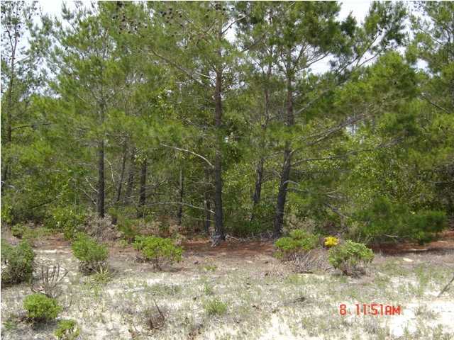 WILD HERON PHASE I - Land