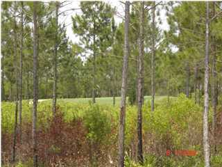 WILD HERON PHASE I - Land