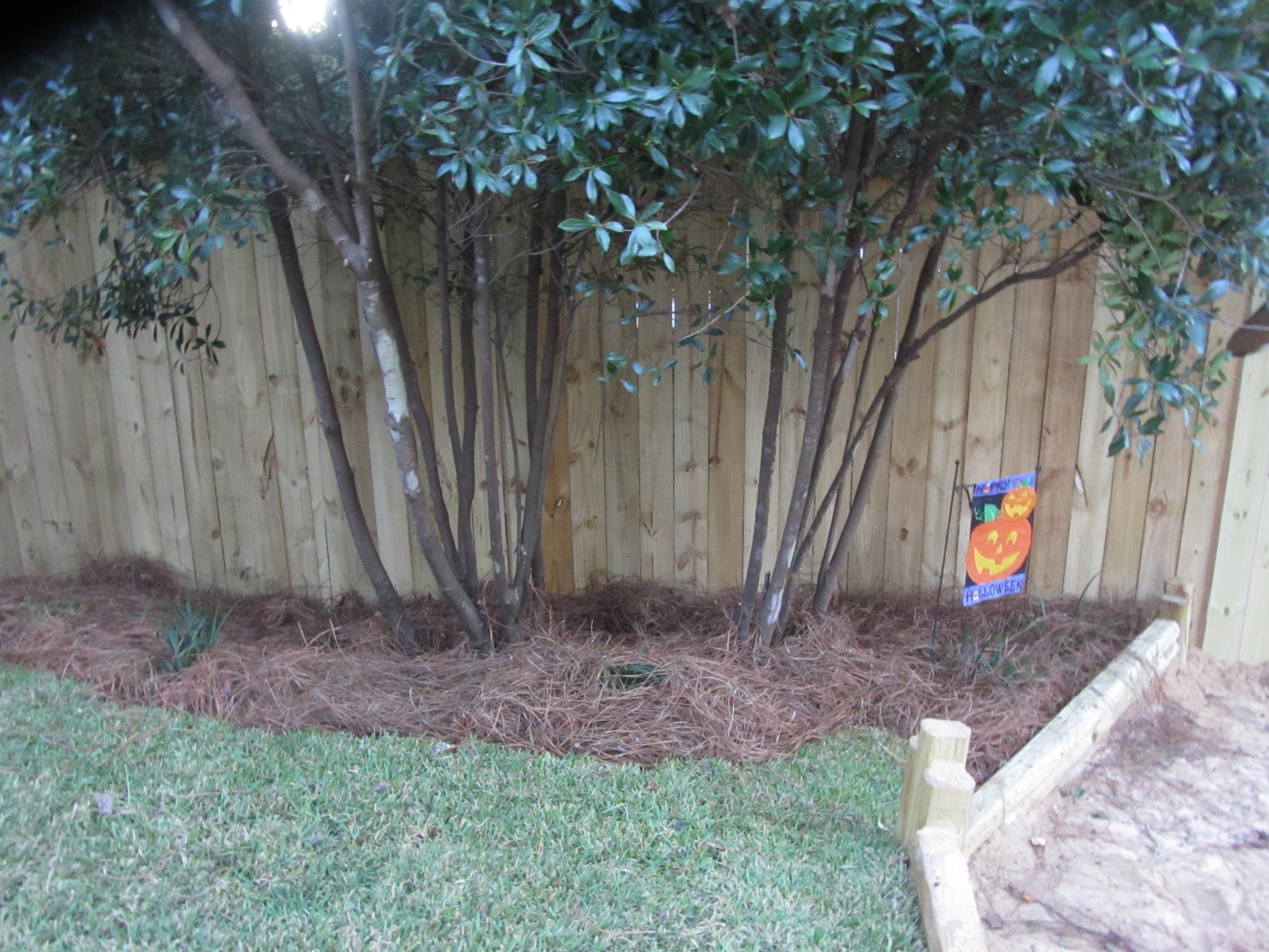 POWELL S/D - Residential