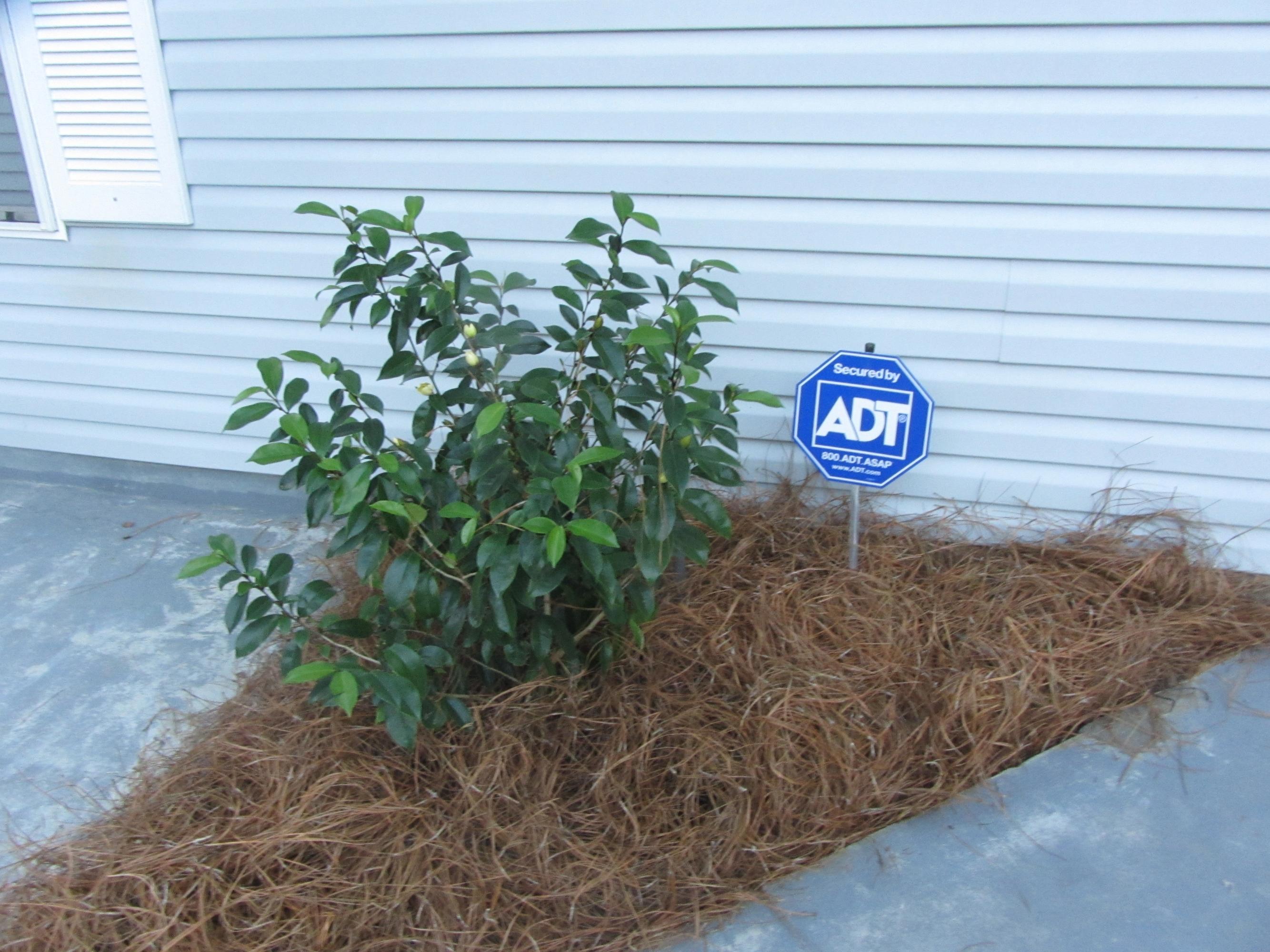 POWELL S/D - Residential