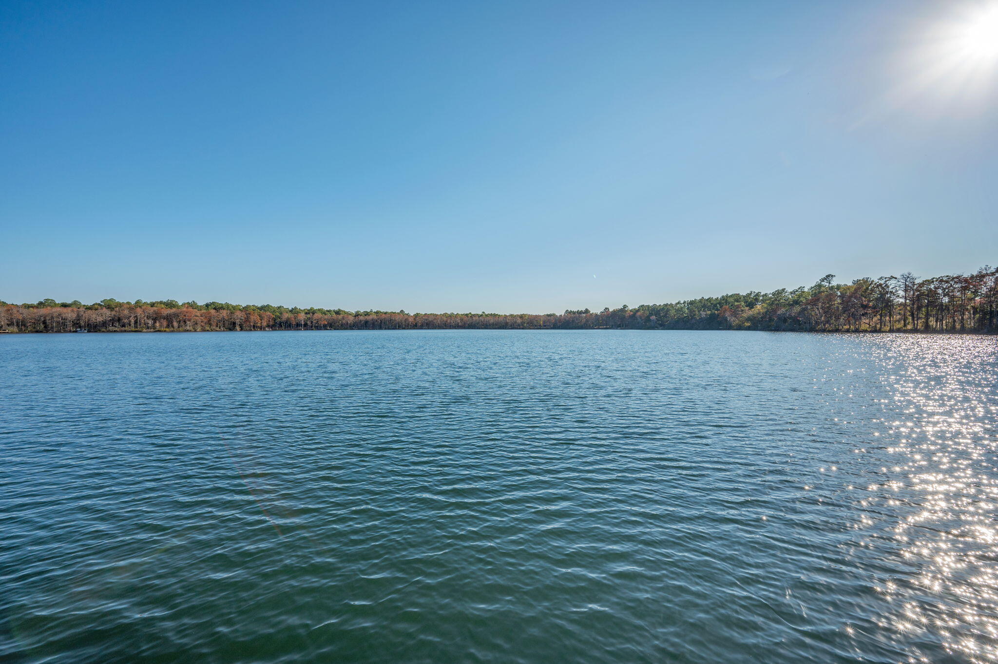 BLUE CYPRESS - Residential