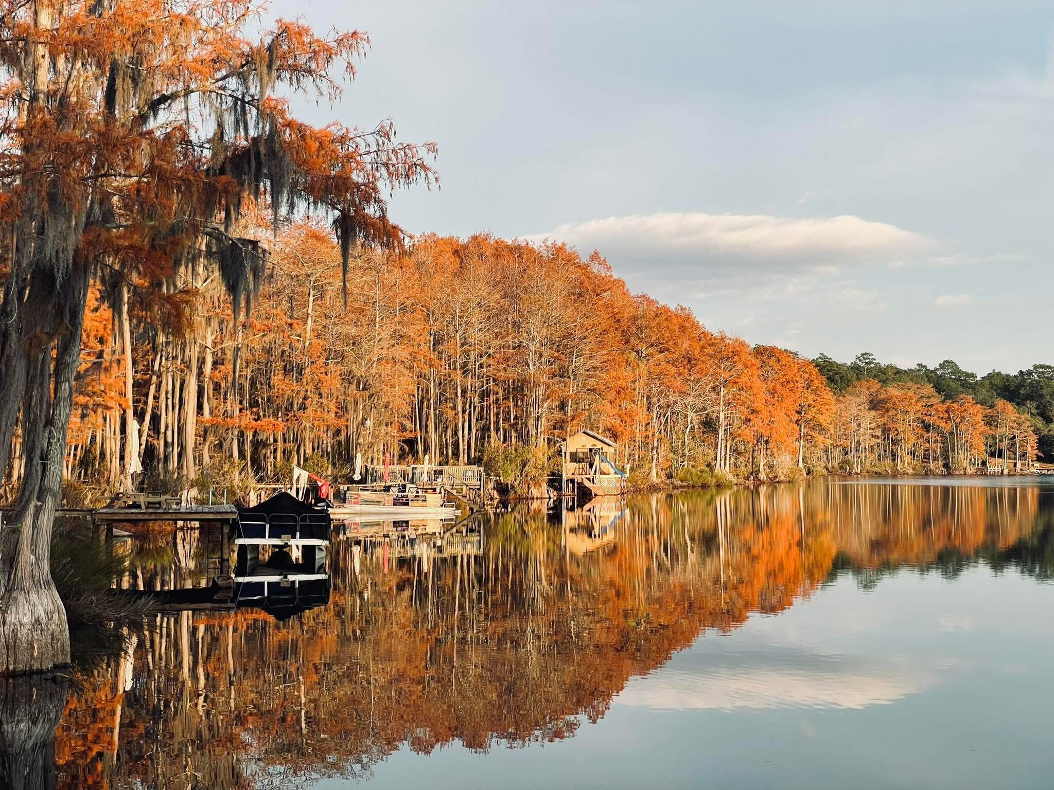 BLUE CYPRESS - Residential