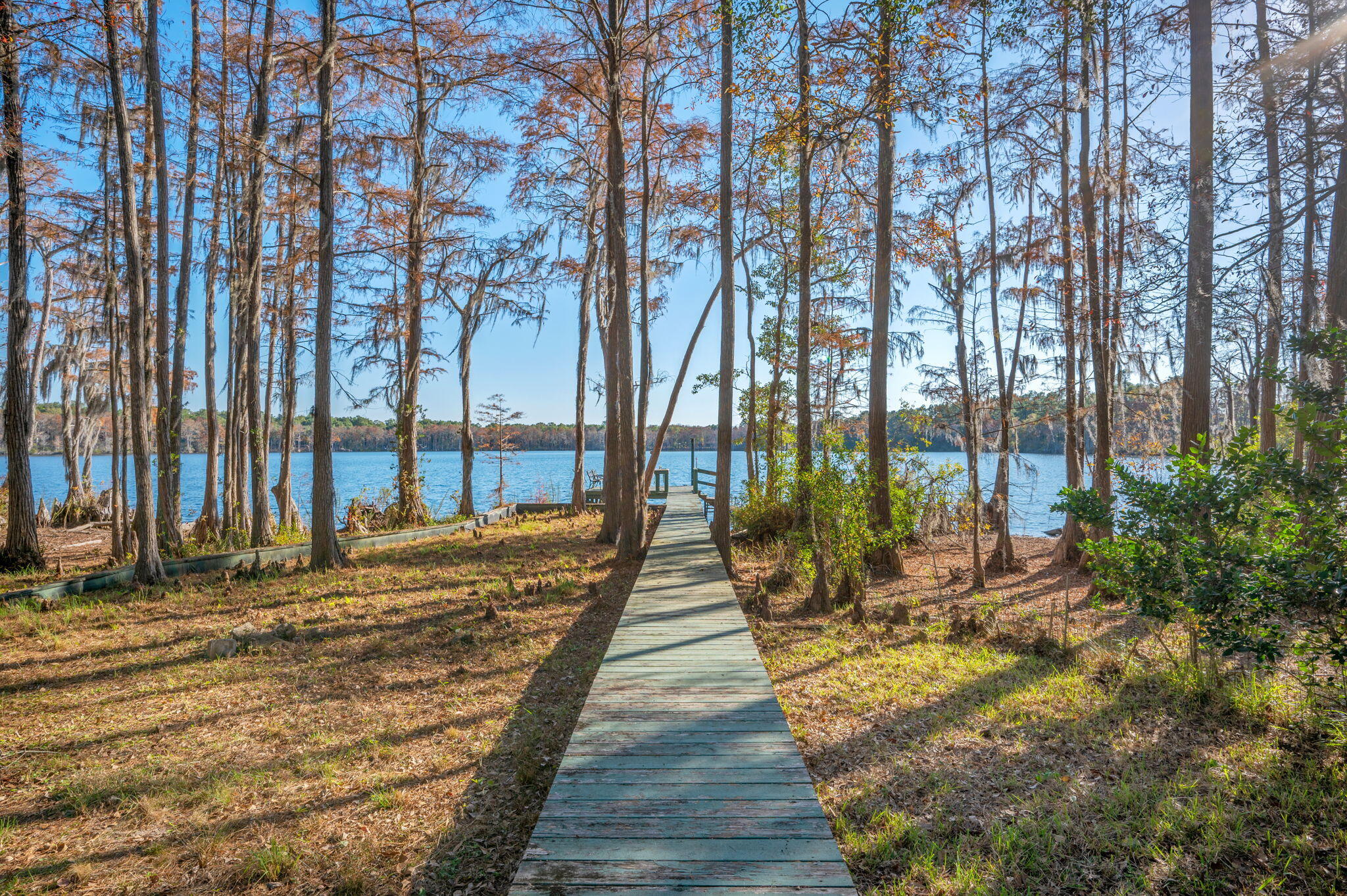 BLUE CYPRESS - Residential