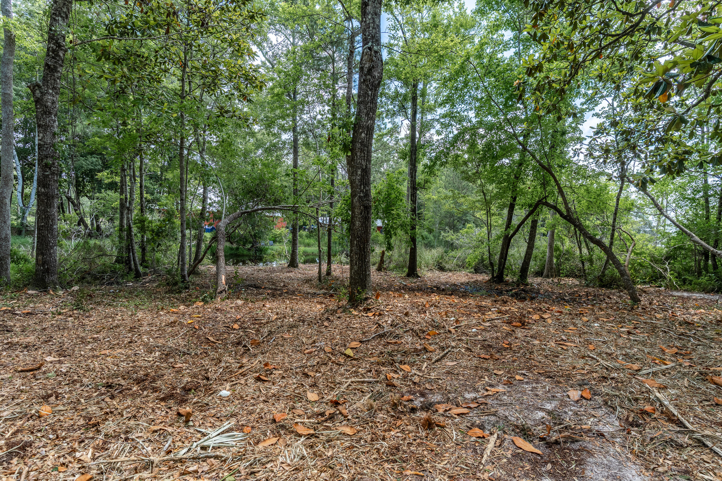 CROSS CREEK SHORES - Land