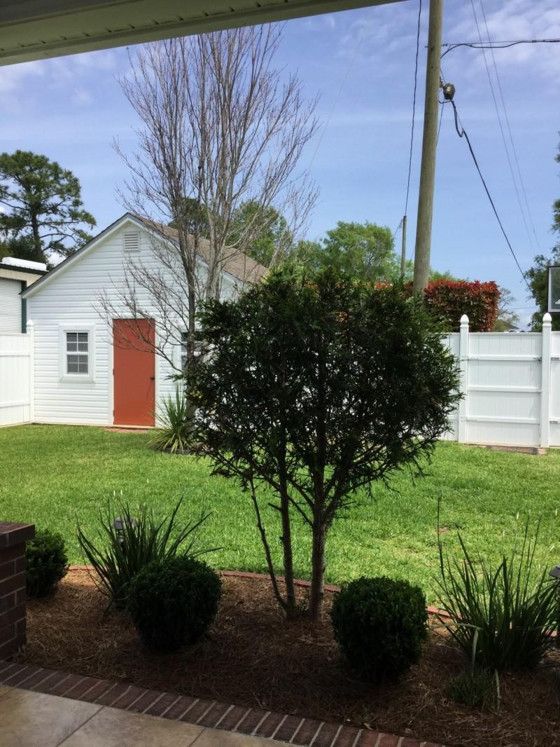 Shadow Oak - Residential