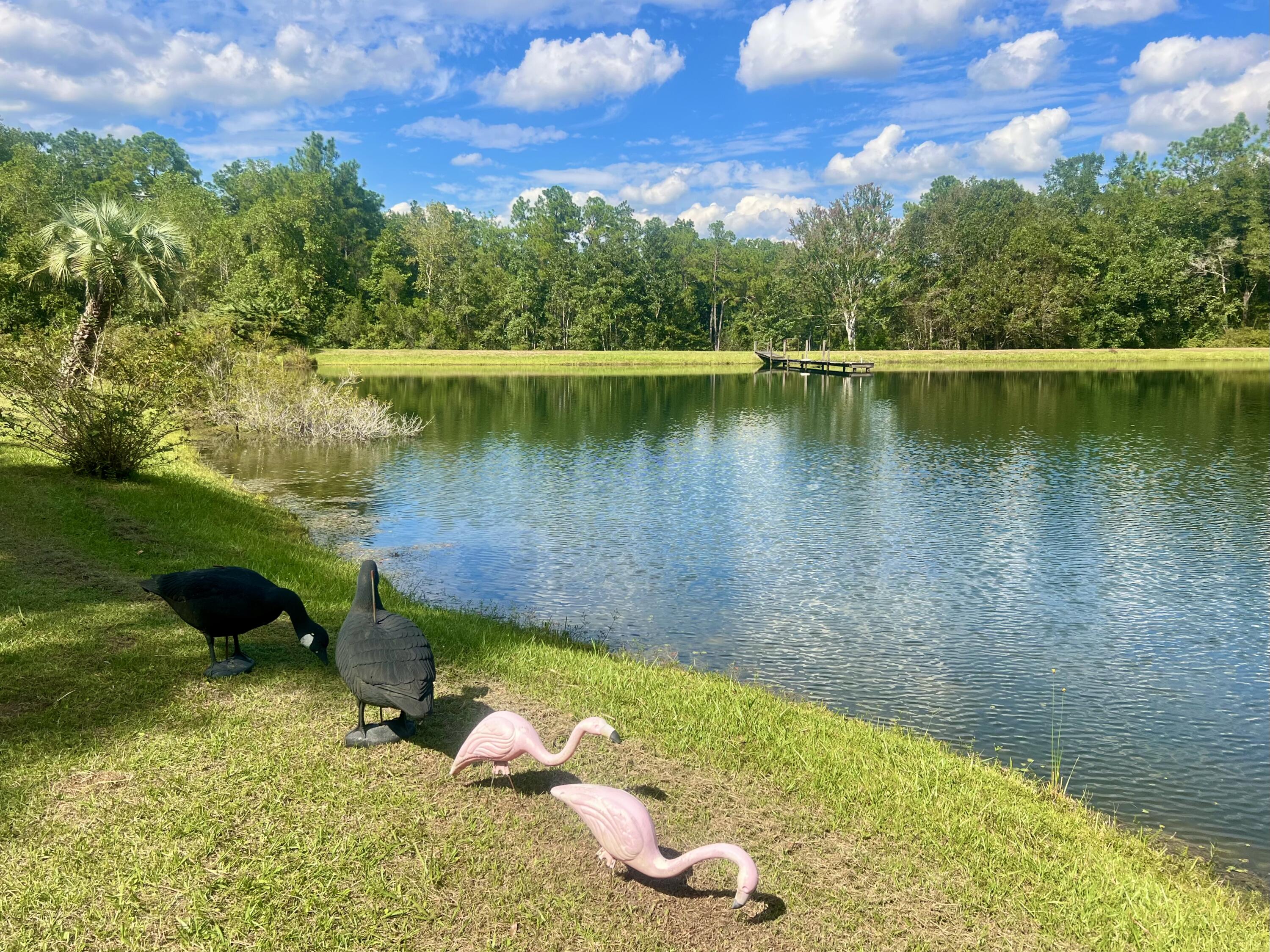 CRESTVIEW SUBURB - Residential