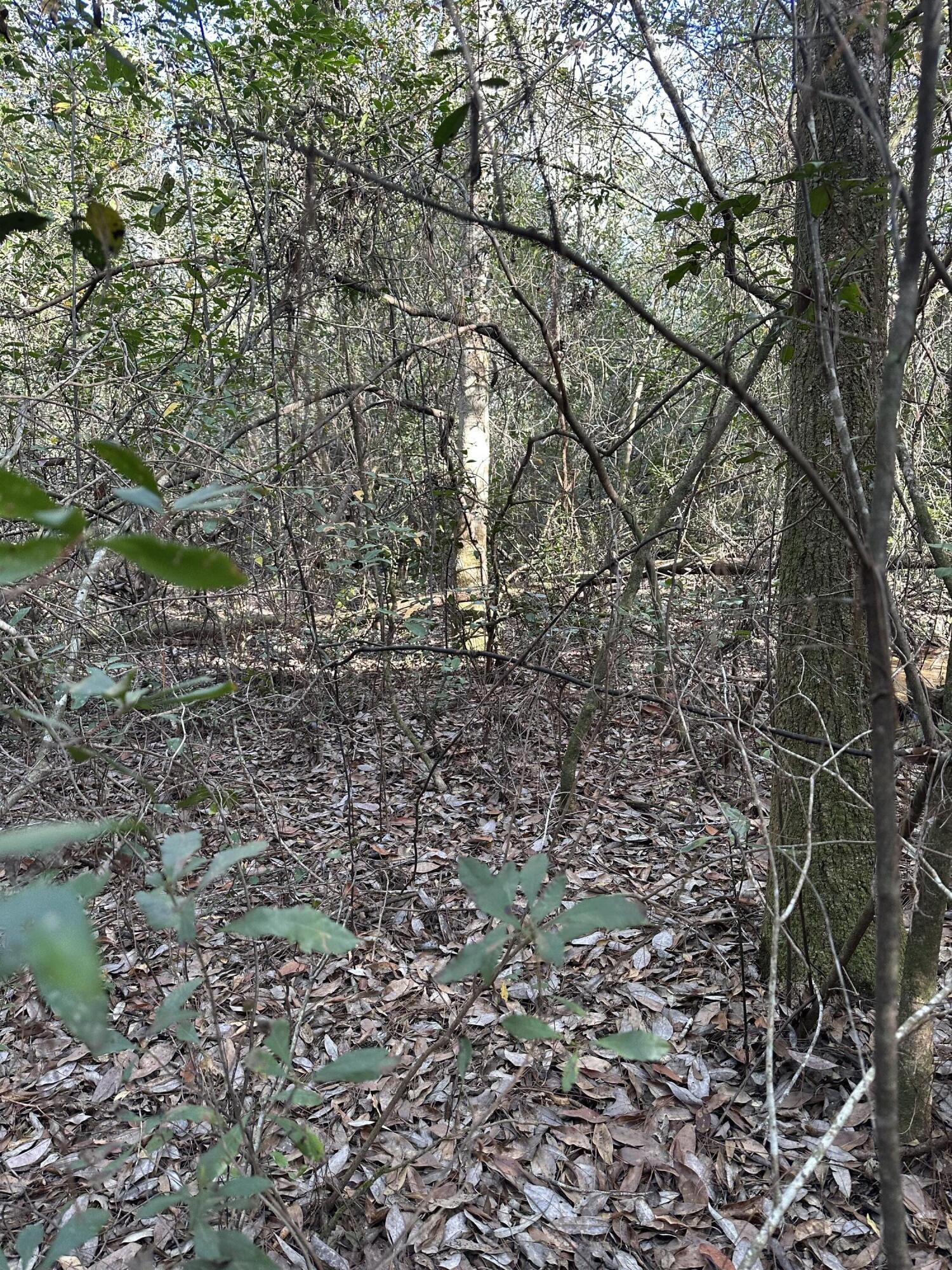 NONESUCH WAY - Land