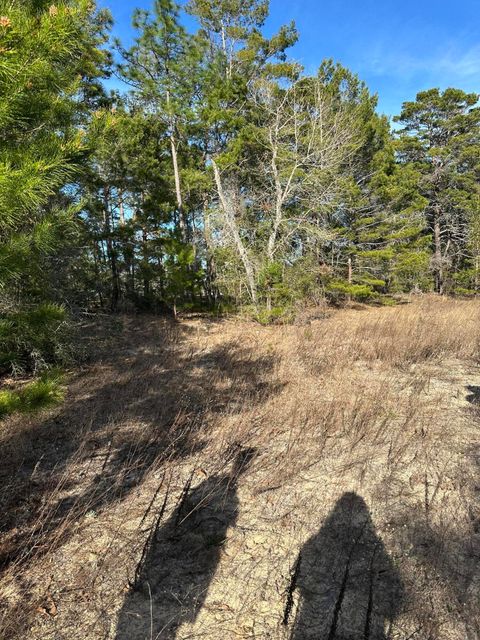 Photo of 5225 Kimp Road, Crestview, FL 32539 (MLS # 970791)