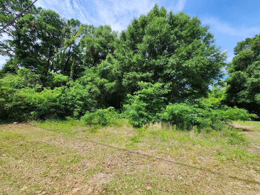 No flood insurance needed with water, sewer, electric at the street. Attention builders and buyers, these two lots are zoned R-3 (room to build multiple homes) offer a Level, wooded canvas with beautiful large old growth trees waiting for the right person to create their dream home! With renovations currently underway in Downtown Crestview, near Eglin Federal Credit Union, Publix, bustling historic downtown, providing easy access to Fox Theater, shops, dining, and new construction nearby, this can be a great opportunity! Only a short distance from Allen Park's basketball courts and baseball field, plus the Carver Museum! Lots can be purchased separately, see MLS# 943288 and 943289.