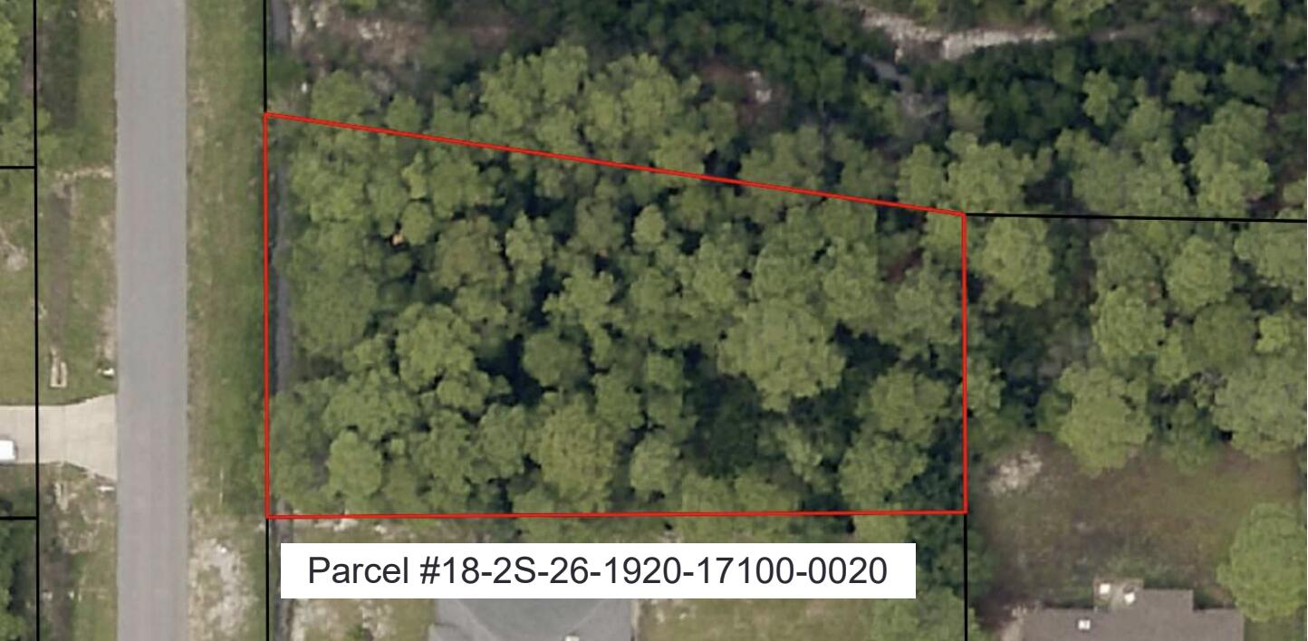 HOLLEY BY THE SEA - Land