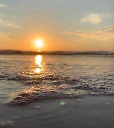 Marnie Island Preserve - Land